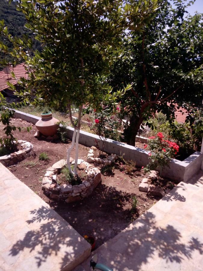 Dimitra'S Garden Villa Kallirákhi Екстериор снимка