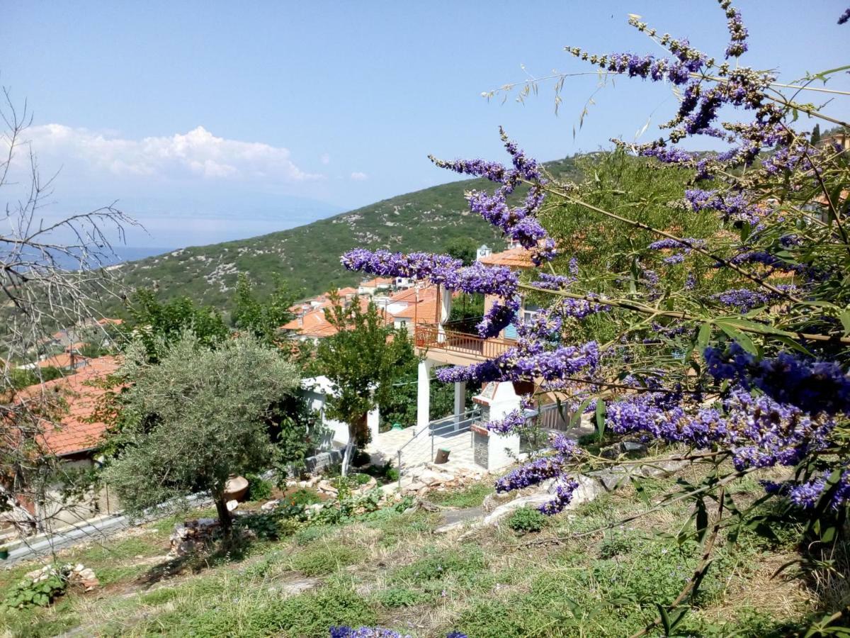 Dimitra'S Garden Villa Kallirákhi Екстериор снимка