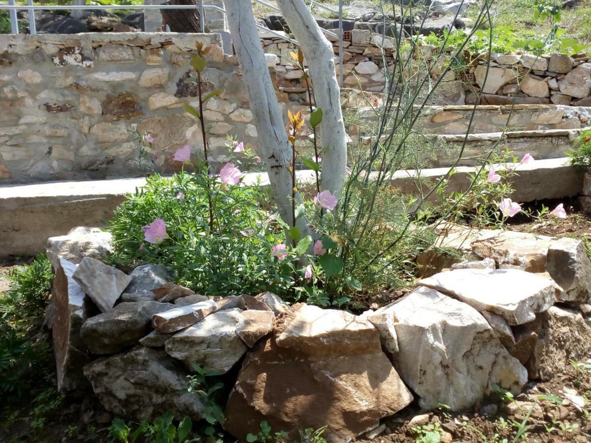 Dimitra'S Garden Villa Kallirákhi Екстериор снимка